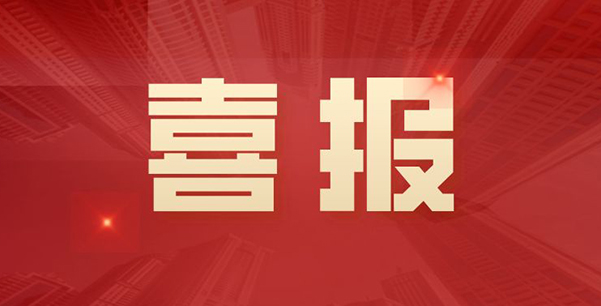 喜報！華日升公司榮獲各級表彰